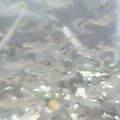 20050401_1633_000.jpg