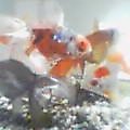 20050404_1541_000.jpg