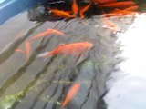 1d0f402d.jpg