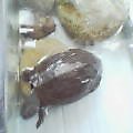 20050806_1011_000.jpg