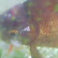 20050414_1450_000.jpg