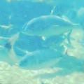 20050417_1451_000.jpg