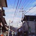 20050306_0841_000.jpg