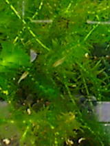 9946811e.jpg