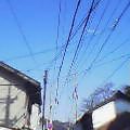 20050304_0932_000.jpg