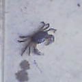 20050515_0950_000.jpg
