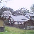 20050410_1346_000.jpg
