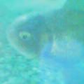 20050416_1137_000.jpg