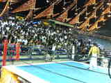 406faf7b.jpg