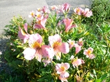 820dd7f7.jpg