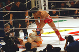 ddc68156.jpg