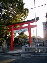 tamasaki2