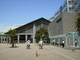 ����饤���彽��Τ��