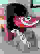 jikkeien2