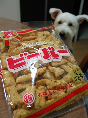 http://image.blog.livedoor.jp/moca0306/imgs/2/a/2a42755d.jpg