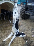 �λ����ũ1