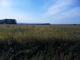 DVC00004