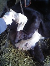 ����������