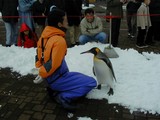 �ڥ󥮥�7