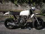 ape1