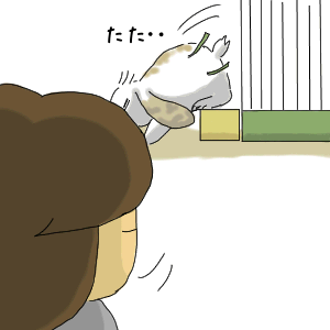 あしあと5