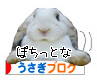 �ˤۤ�֥���¼ �������֥�����