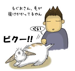 気になる4