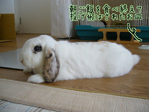 ���ˤʤ룱