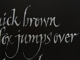 0728a972.JPG