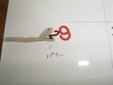 20071230�ۤܤˤ���������3