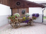 花車