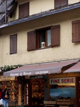 看板犬(1)