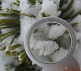 雪眼鏡