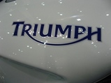 triumph