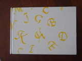 MYbook1