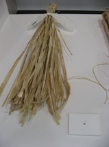 kozo
