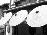 京都の傘
