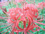 �ؼ�ڣ�