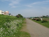 多摩川