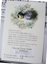はがき