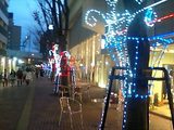 07イルミネーション3
