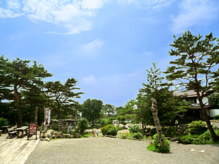 週末写真館