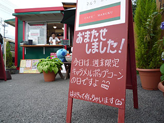 週末写真館