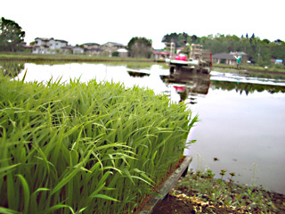 週末写真館