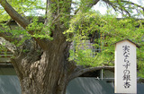 0c322874.jpg