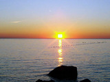 0e08f591.jpg