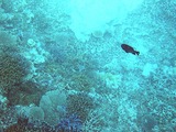 23b1c38a.jpg