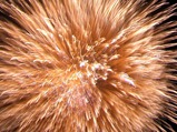 257b2308.jpg
