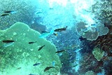 3ca495a0.jpg
