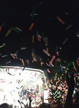 7507bd81.jpg